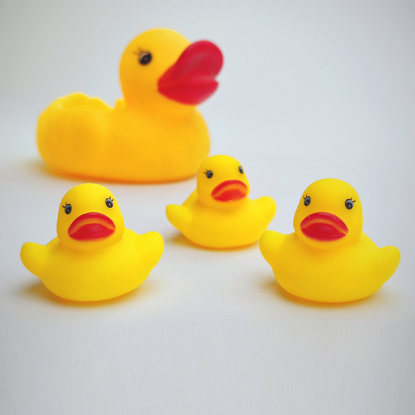 squeezing-ducks-set-of-4-td-bs-sd-004
